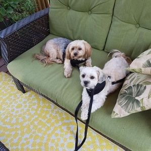 Meet your Posher, Debbie